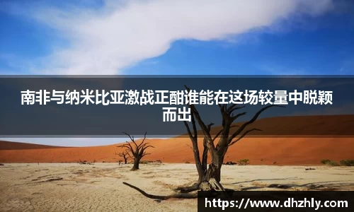 南非与纳米比亚激战正酣谁能在这场较量中脱颖而出